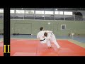 Judo || Hikikomi-gaeshi #Nage-waza #Judowürfe No. 55