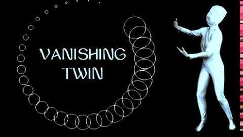 Vanishing Twin - The Invisible World (Official Video)