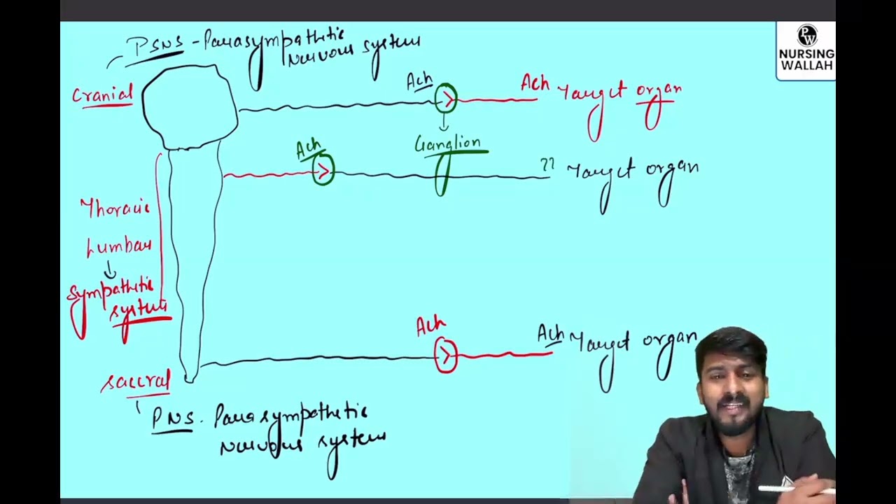 14 Autonomic Nervous System 01   Cholinergic Drugs    DPP Quiz Will