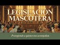 Legislación. Mascotas. ¿Collar obligatorio?