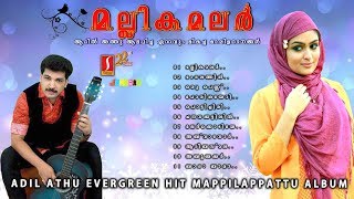 Mallika malar Athil Athu Hits |Romantic Mappilapattu album| ഹിറ്റ് മാപ്പിളപ്പാട്ടുകൾ
