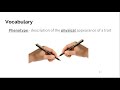 Genetics and Heredity: Exploring Traits and Inheritance