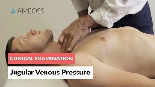 Examination of the Jugular Venous Pressure - Clinical Examination