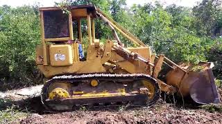 Pushing Trees