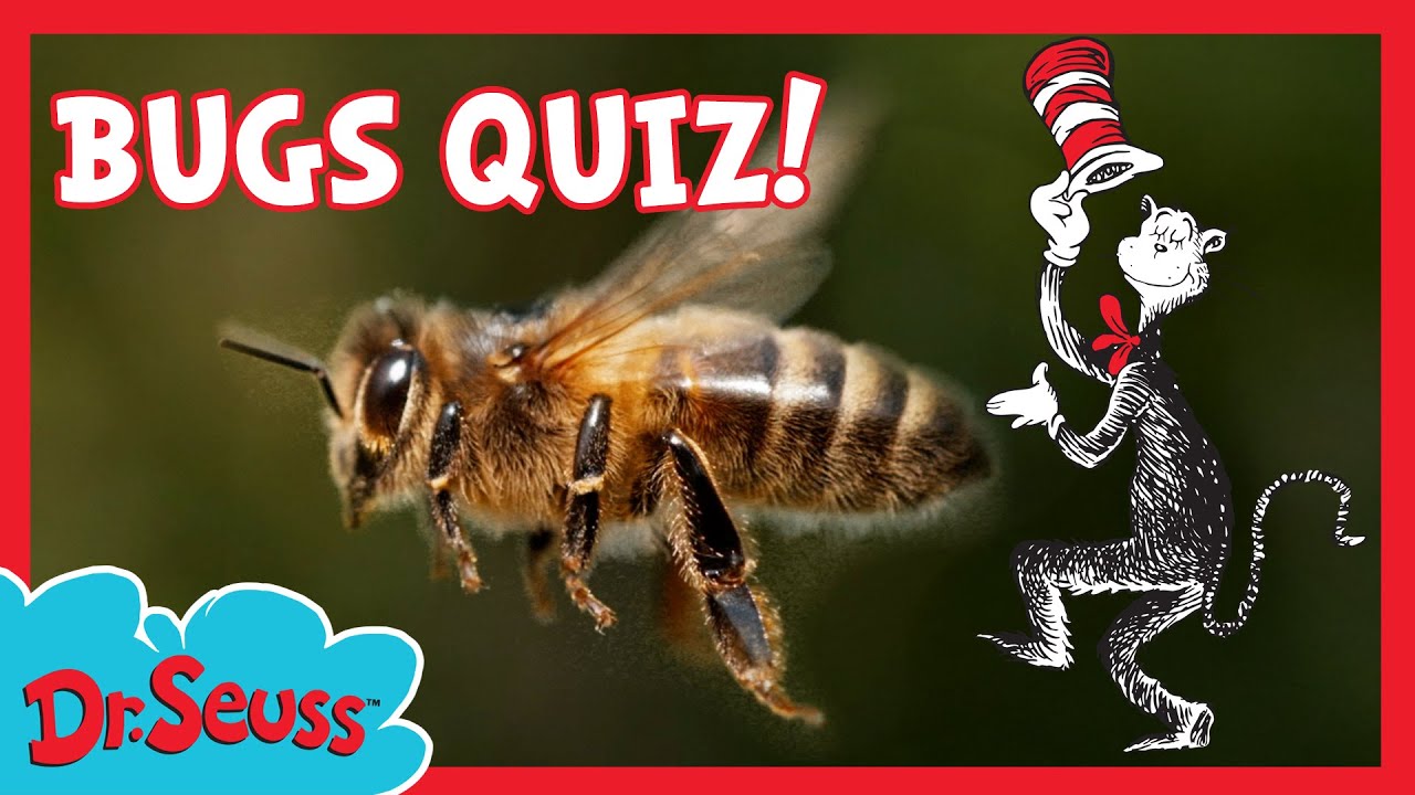 Are You A True Bug Expert? | Cat in the Hat's Quirky Quiz | Dr. Seuss ...