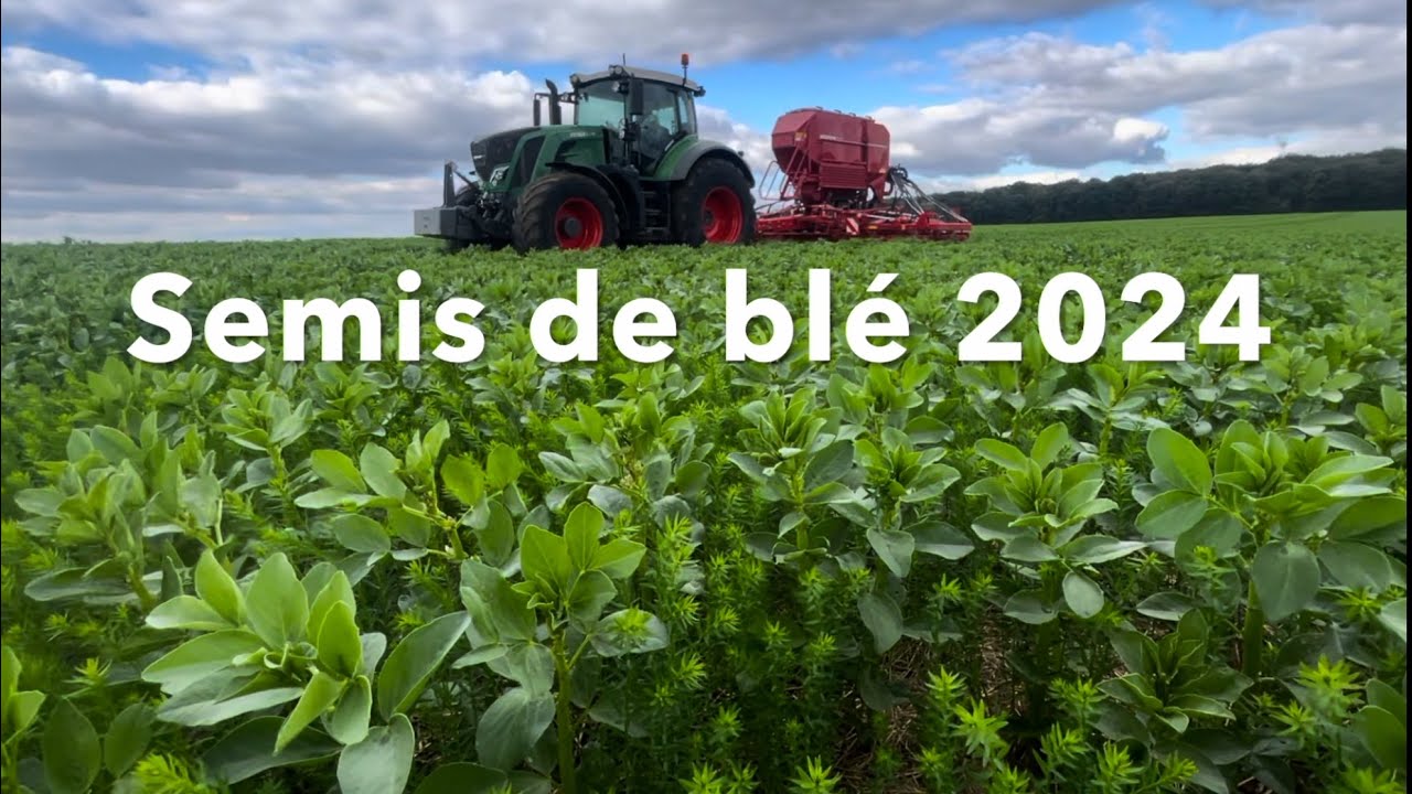 Semis de blé 2024                                         Ferme de Saint Lubin