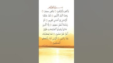 والتين والزيتون ✨️حالات واتس اب قرآن كريم 🌾🌾