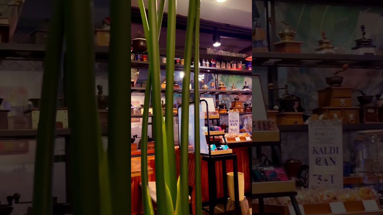 Kaldi Coffee Mapo Seoul Korea