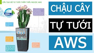 Chậu cây Anber tự tưới thẩm thấu ngược AWS - Có phụ đề tiếng việt