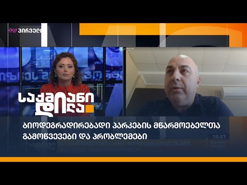 ბიოდეგრადირებადი პარკების მწარმოებელთა გამოწვევები და პრობლემები