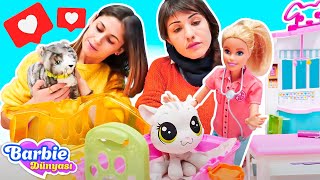 Veteriner Barbie Ve Minik Kediler Kedinin Kaç Yavrusu Var? Barbie Oyunları.