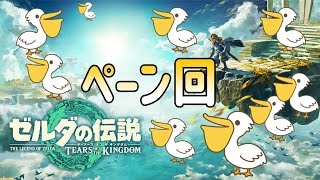 #10　リハビリ配信5　最終戦前の準備会！ペーン回　[ゼルダの伝説　ティアーズ　オブ　キングダム]