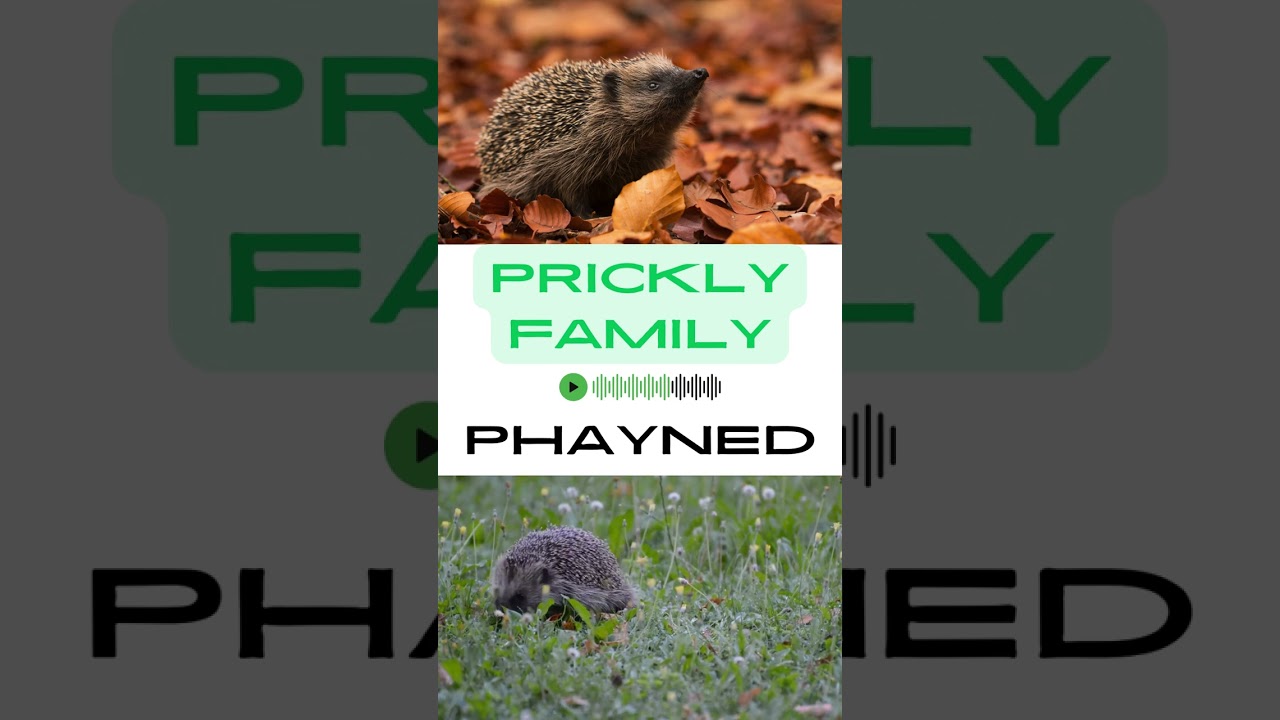 Prickly Family