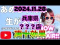 モンスターハンターライズ生配信中『あめちゃんは生がスキ@兵庫のどこか2024.11.28』
