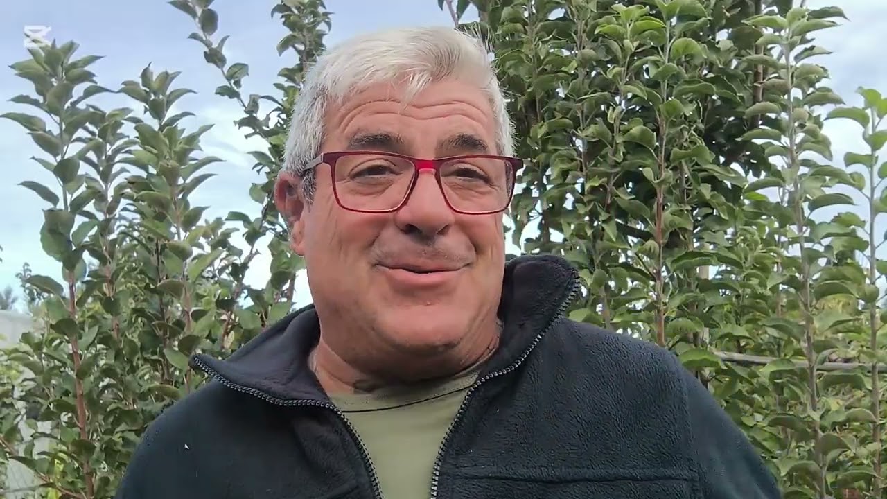 La poda paso a paso de melocotón, nectarina y paraguayo parte 1( explicación teórica)