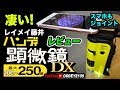 おうちで自由研究 レイメイ藤井 ハンディ顕微鏡DX 250倍 レビュー