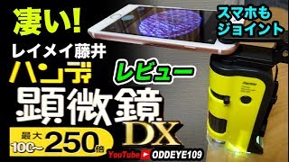 おうちで自由研究 レイメイ藤井 ハンディ顕微鏡DX 250倍 レビュー