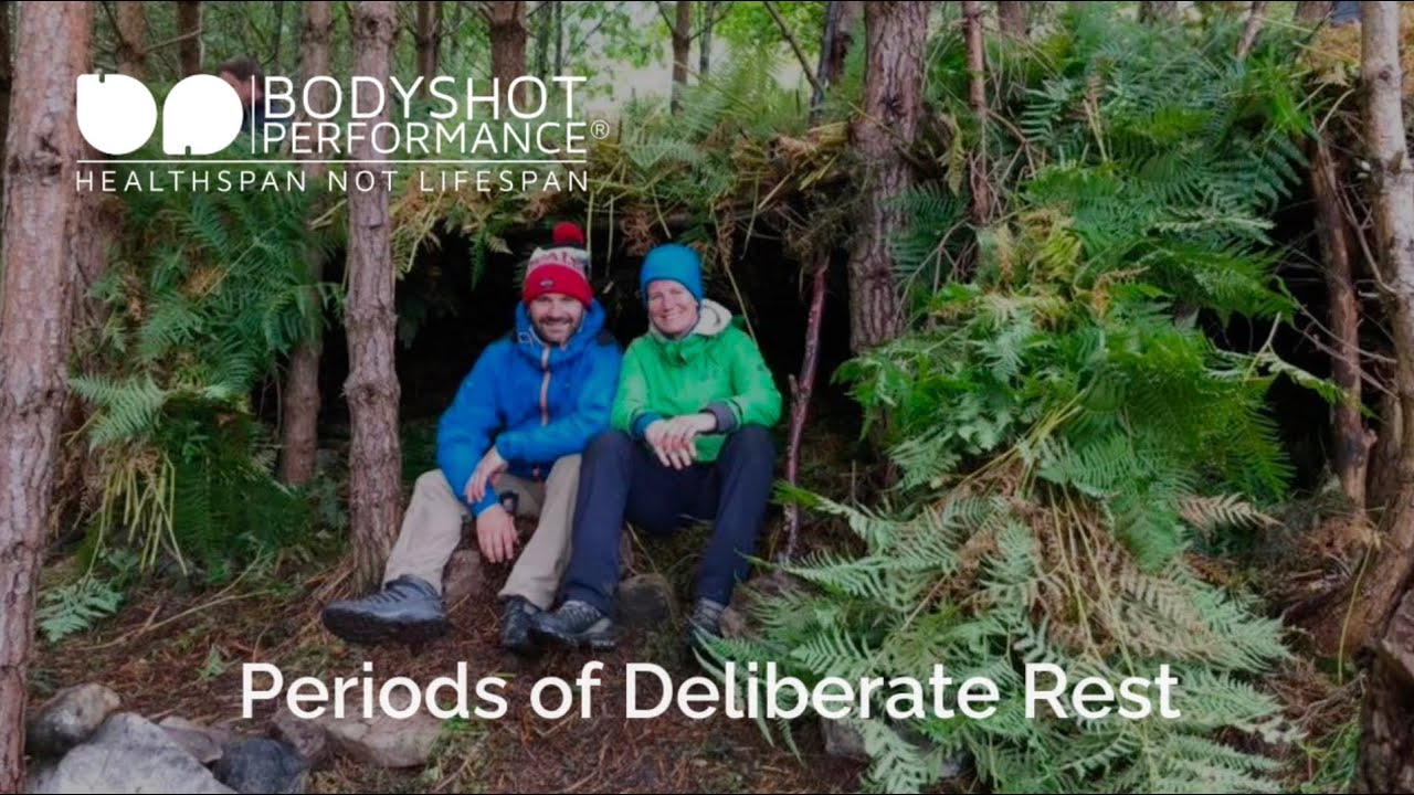 Surviving Stress Periods of Deliberate Rest YouTube