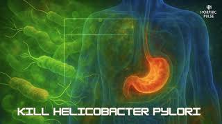 Kill Helicobacter Pylori Morphic Field