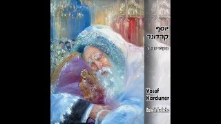 יוסף קרדונר - מילי דשטותא
