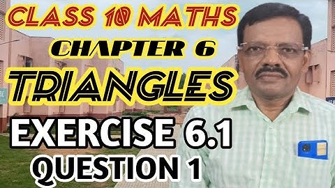 Class 10 Maths | Ex 6.1 Q1 | Chapter 6 | Triangles | NCERT