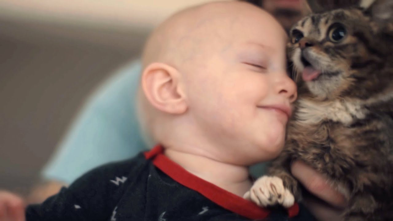 Lil DUDE, Lil BUB, and Trudy