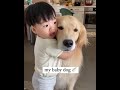 Cutest dogs video compilation  ever ♥️