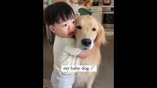 Cutest dogs video compilation  ever ♥️ screenshot 4