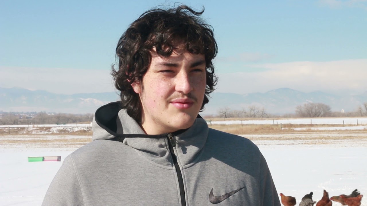 The Power of Work-Based Learning: Farm Internship