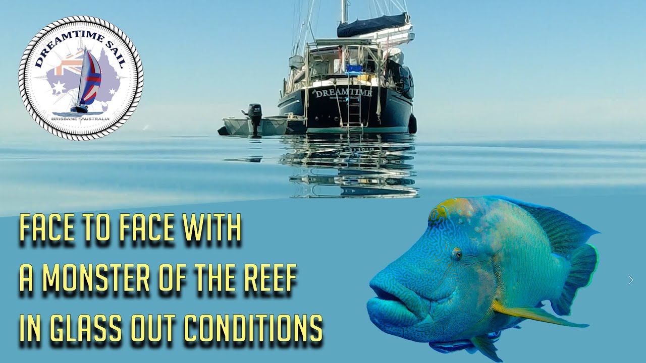 Face to face with a monster of the reef in glassed out conditions – Ep 36