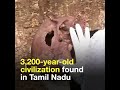 3200 years old thamirabarani civilisation confirmed in tamil nadu