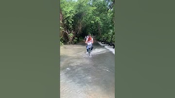 Rừng Nam Cát Tiên - Vườn quốc gia Nam Cát Tiên - Đồng Nai #vuonquocgiaNamCattien #rungNamCatTien