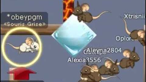 Transformice : Fly Hack 3.0