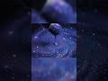 Sound Of Creating A Universe Cosmic Paintbrush ASMR Asmr Oddlysatisfying Satisfying Shorts 