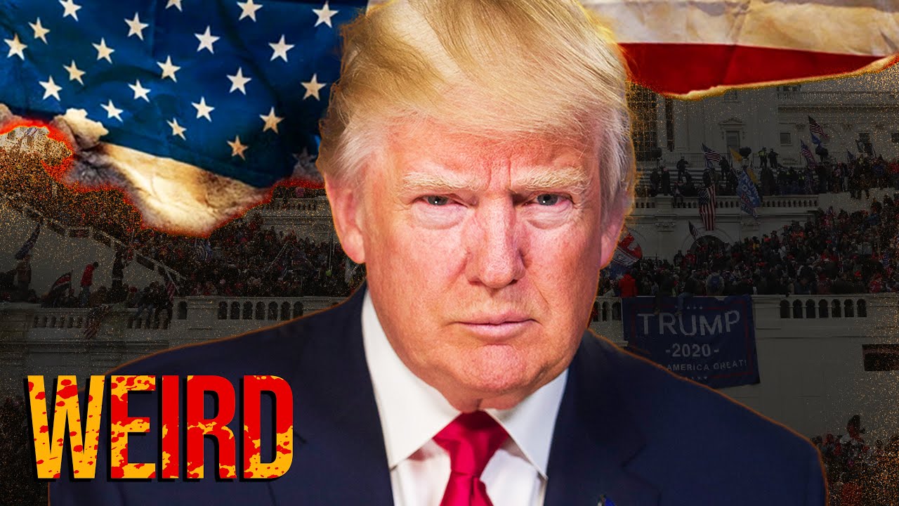 The Twisted World of Donald Trump