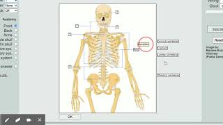 Thatquiz.org sample quiz