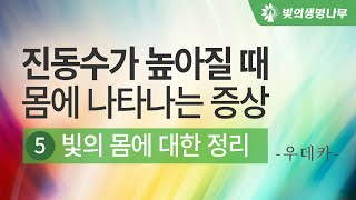 진동수가 높아질 때 몸에 나타나는 증상 5 (빛의 몸에 대한 정리)