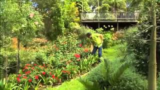 The Garden Gurus - Whats the best manure