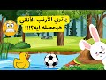 الارنب الاناني كيف ستتغير حياة الأرنب بعد مغامرته قصص اطفال حواديت قبل النوم