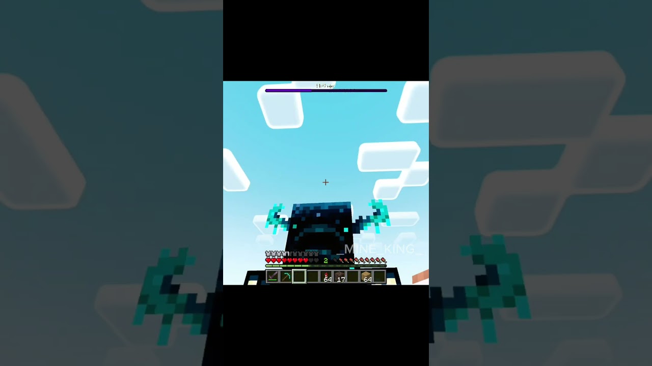 Minecraft WTF Moments Part-6