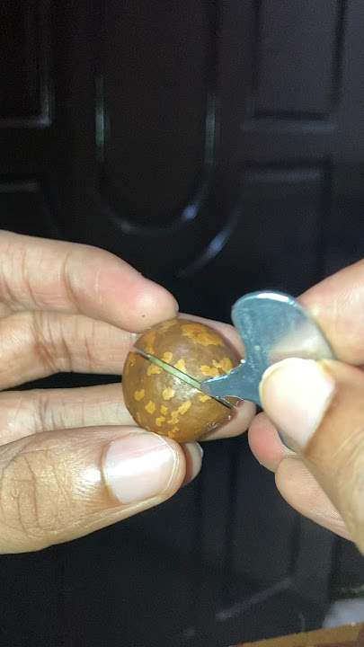 Macadamia Nut How to Open Tutorial