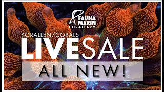 KORALLEN LIVE SALE 25.4.26 - Fauna Marin Live
