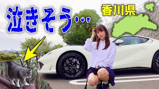 【お願いやめて…】フェラーリで香川県に行ったら子猫に後をつけられ、撮影中断することになりました。