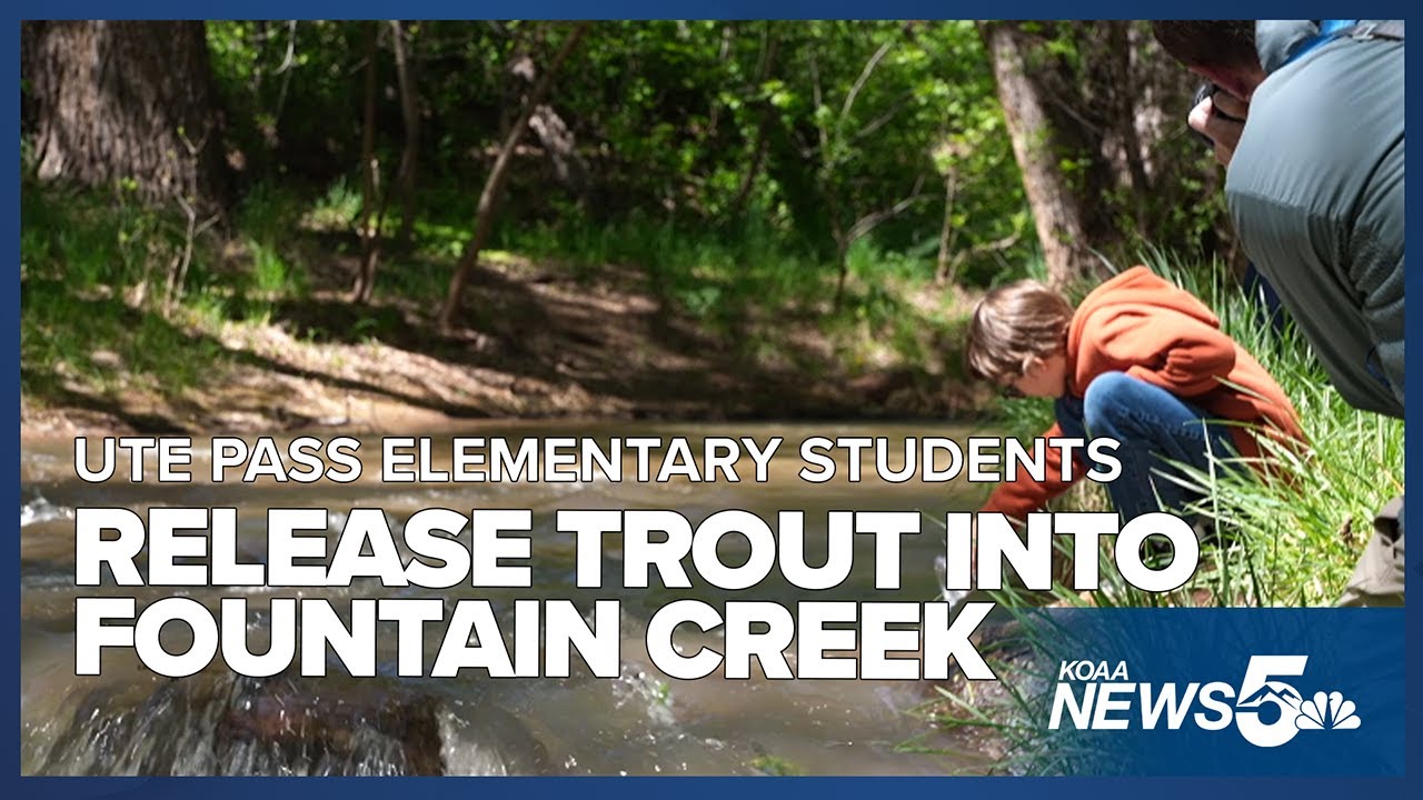 Ute Pass Elementary students in Manitou Springs releases trout they've been raising for months
