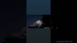 Starlight Code  River Ashwood songs dosubscribe fallinginlove fyp aimieworld