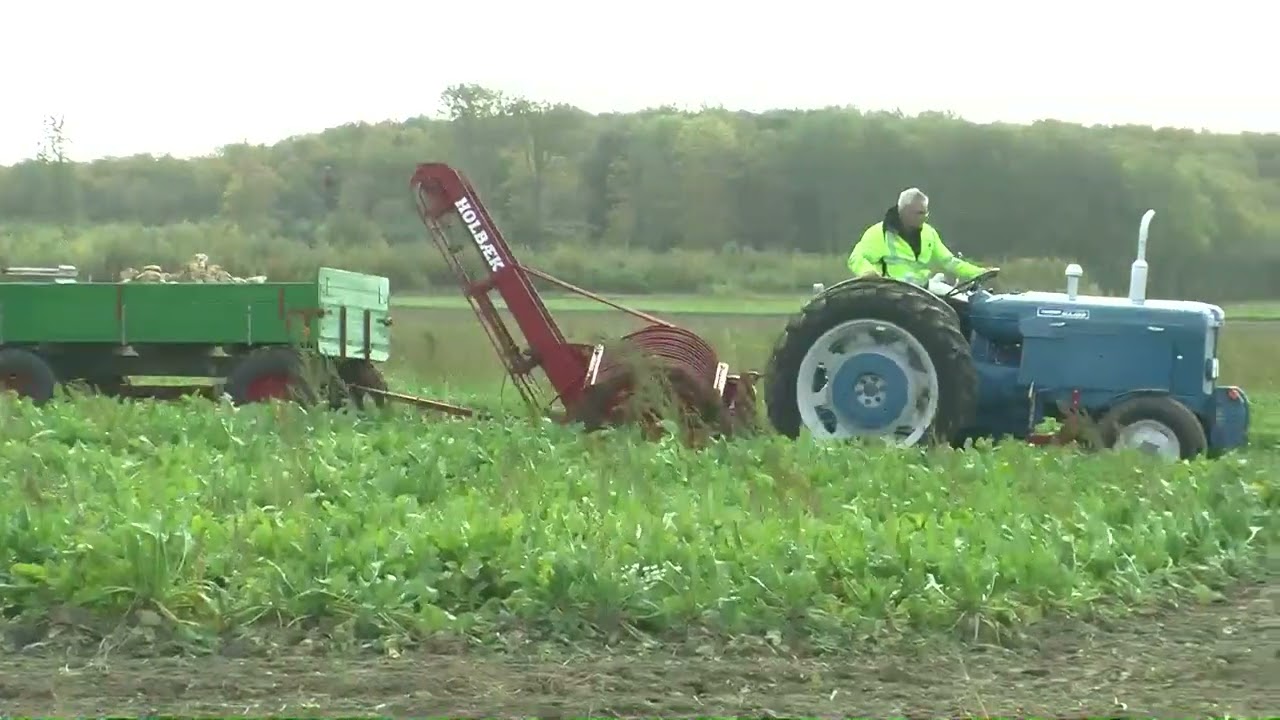 Roedage i Nørreballe