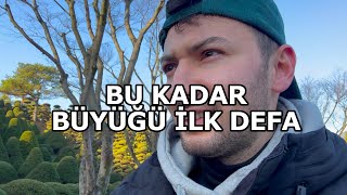 KOREDE 1 GÜN GEÇİRMEK / BEN BÖYLE BÜYÜK AYI GÖRMEDİM