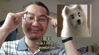 [Shorts 20] 体毛 body hair | Learn Chinese with Teacher Richard