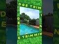 Hedge Trimming Service