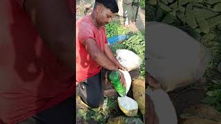 Jackfruit cutting style in meerut mandi #merrut_mandi_bhav_uodate#farming #just_trending